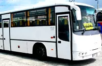 Bus